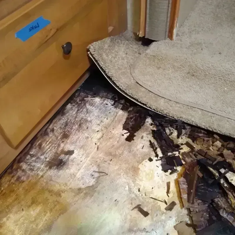 Wood Floor Water Damage in Albany, NY